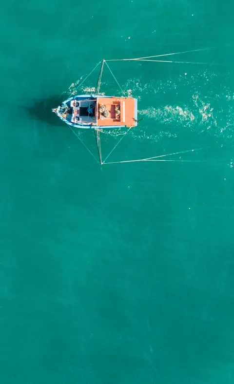 Um barco navega no mar verde-azulado de Ubatuba, visto de cima, deixando um rastro de espuma